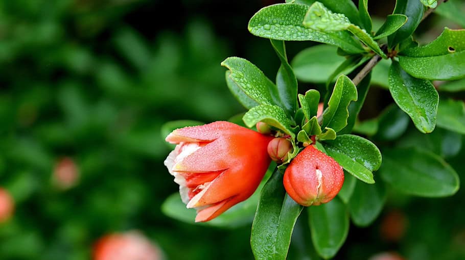 Kampfmittelbeseitigungsdienst stellt Granaten sicher