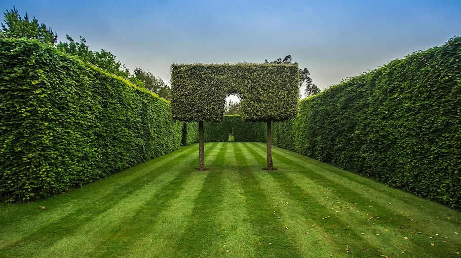 Heckenbrand in Bautzen an Niederkainaer Straße
