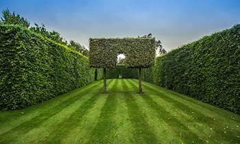 Heckenbrand in Bautzen an Niederkainaer Straße