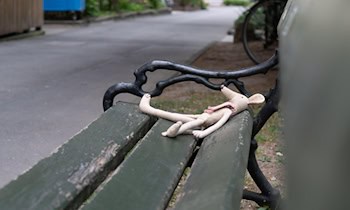 Zeugenaufruf nach Körperverletzung in Görlitz