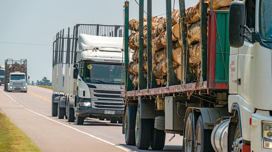 Kontrolle von Holztransporten in Kodersdorf