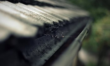 Kupferregenrinne vom Einkaufsmarkt gestohlen