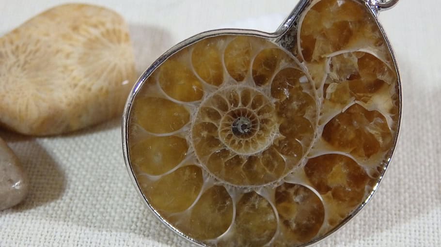 Kupplungsbremse von Anhänger in Dresden-Nickern gestohlen