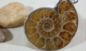 Kupplungsbremse von Anhänger in Dresden-Nickern gestohlen