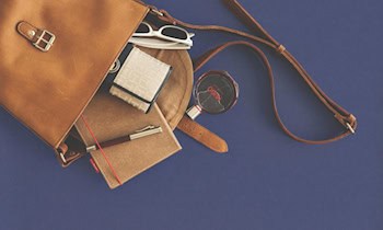 Handtasche aus Auto gestohlen in Dresden-Blasewitz