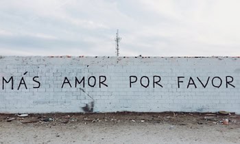 Vandalismus in Gewerberäumen in Dresden-Niedersedlitz