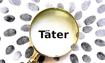 Öffentlichkeitsfahndung nach Gewalttätigkeiten beim Fußballspiel in Halle