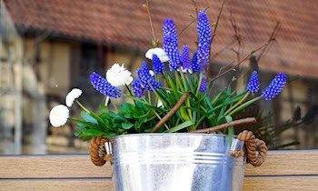 Sachbeschädigung an Eisarena in Weißwasser