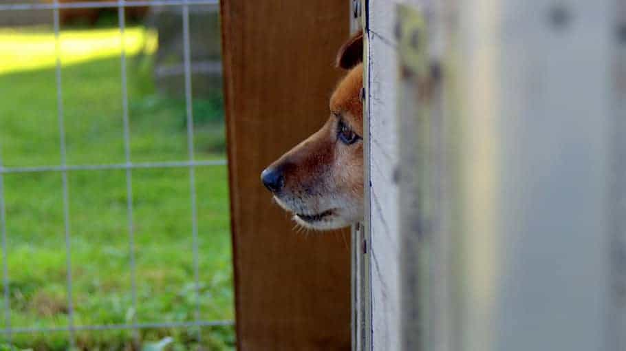Vermisster Fabian C. (31) aus Borna – zuletzt in Nobitz gesehen