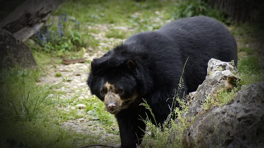 Raubüberfall am Volksfest im OT Zentrum