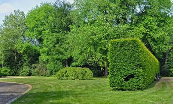 Hecke in Döbeln in Brand gesetzt