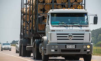 Zwei verkehrsunsichere Lkw auf der A72 gestoppt