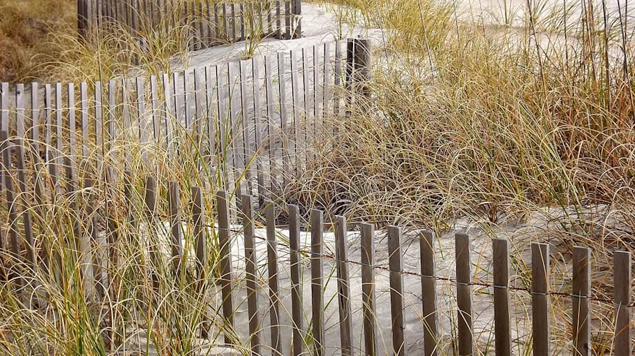 Diebstahl in Gartensparte in Bad Muskau