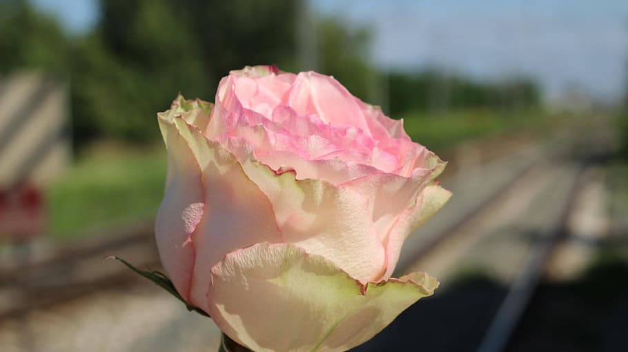 Tödlicher Verkehrsunfall an Bahnübergang in Leipzig