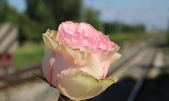 Tödlicher Verkehrsunfall an Bahnübergang in Leipzig