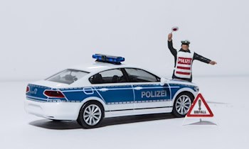 Ausgewählte Phänomen- und Deliktsbereiche