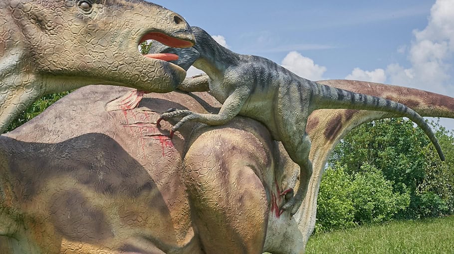 Zwei Angriffe in Zwickau: Polizei sucht Zeugen