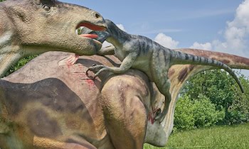 Zwei Angriffe in Zwickau: Polizei sucht Zeugen