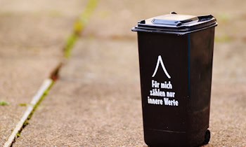 Brand beschädigt Mülltonnen und Hecke in St. Egidien