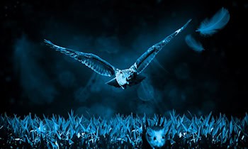 200 Euro aus Bauchtasche geraubt in OT Kappel