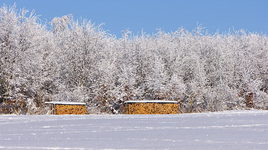 Brennendes Holzlager in Caminau: Feuerwehr verhindert Übergreifen