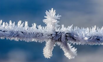 Kabeldiebstahl auf Firmengelände in Altendorf