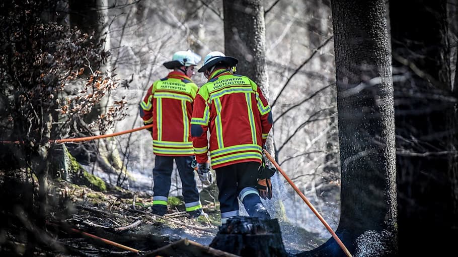 Waldbrand bei Hähnichen: Zwei Brandstellen zerstören Waldflächen