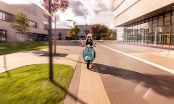 Steuergeräte-Diebstahl am Moped in Dresden-Äußere Neustadt