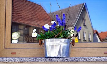 Parteibüro in Löbau: Fensterscheibe beschädigt