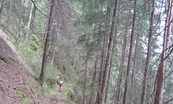 Betrunkener Fahrradfahrer stürzt beim Abbiegen