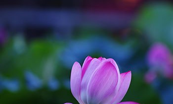 Einbruch in Büroräume in Meißen