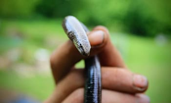 Verdächtiger Fund auf dem Waldspielplatz in Connewitz