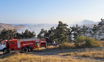Brand in Waldstück bei Kurort Gohrisch