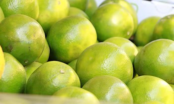 Jugendliche stehlen Zigaretten am Neumarkt