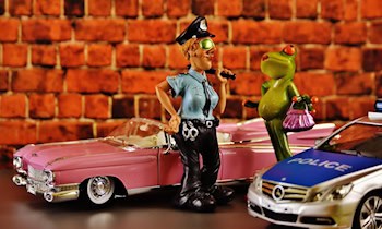 Polizeikontrolle in Sohland: Anabolika sichergestellt