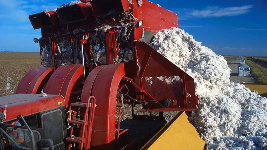 Harvester-Brand in Olbersdorf: 300.000 Euro Sachschaden