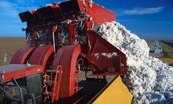 Harvester-Brand in Olbersdorf: 300.000 Euro Sachschaden