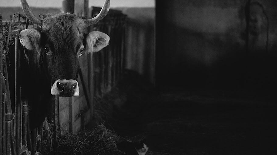 Einbruch in Scheune in Obercarsdorf