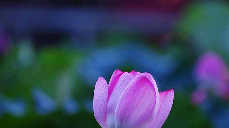 Einbruch in Kleintransporter an der Arndtstraße in Kamenz