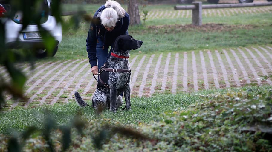 Vermisste Seniorin in Wendishain gefunden