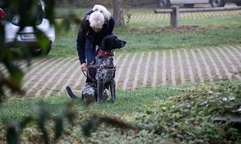 Vermisste Seniorin in Wendishain gefunden