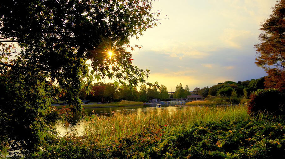 Wohnungseinbruch in Dresden-Zschertnitz