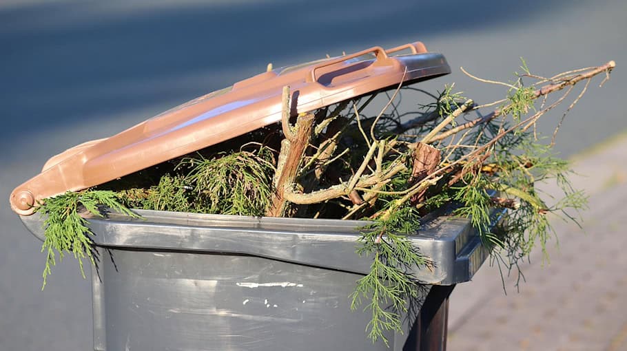 Mülltonnenbrand in Leipzig-Lößnig: Feuerwehr löscht Brand
