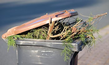 Mülltonnenbrand in Leipzig-Lößnig: Feuerwehr löscht Brand