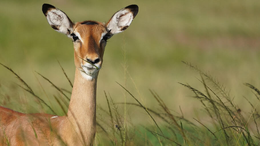 Geschwindigkeitskontrollen auf der S 289 bei Werdau