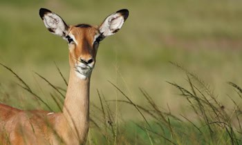 Geschwindigkeitskontrollen auf der S 289 bei Werdau