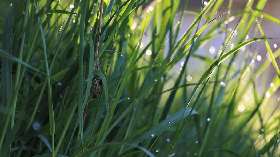 Nebelscheinwerfer von zwei Audis gestohlen