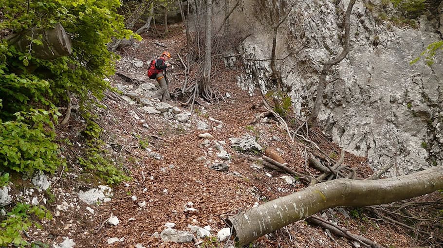 Fliegerbombe bei Soritz: Evakuierung und Entschärfung