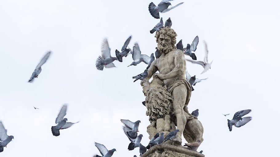 Jugendlicher ohne Fahrerlaubnis in Kodersdorf