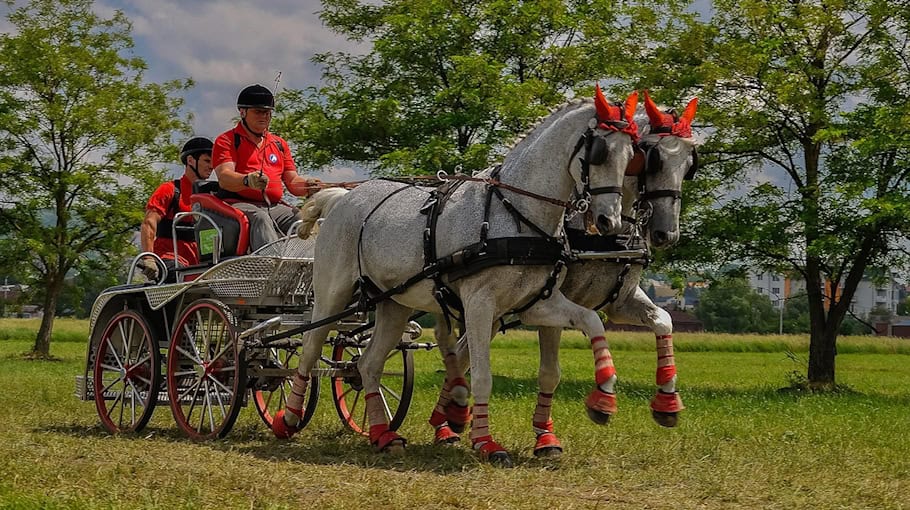 Busfahrer nach Auseinandersetzung in Leipzig schwer verletzt